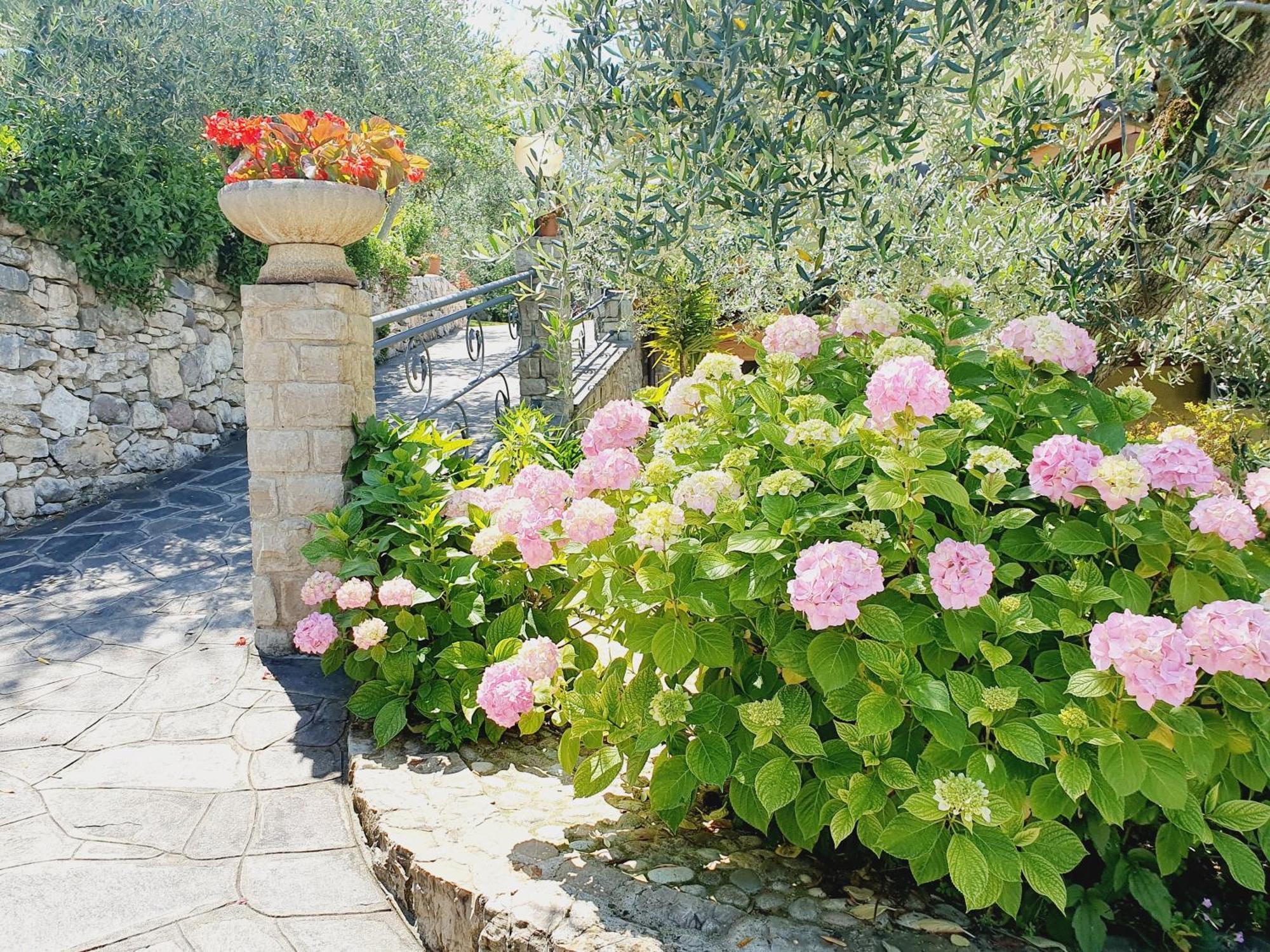 דירות ברנצונה סול גארדה Casa Valenti מראה חיצוני תמונה