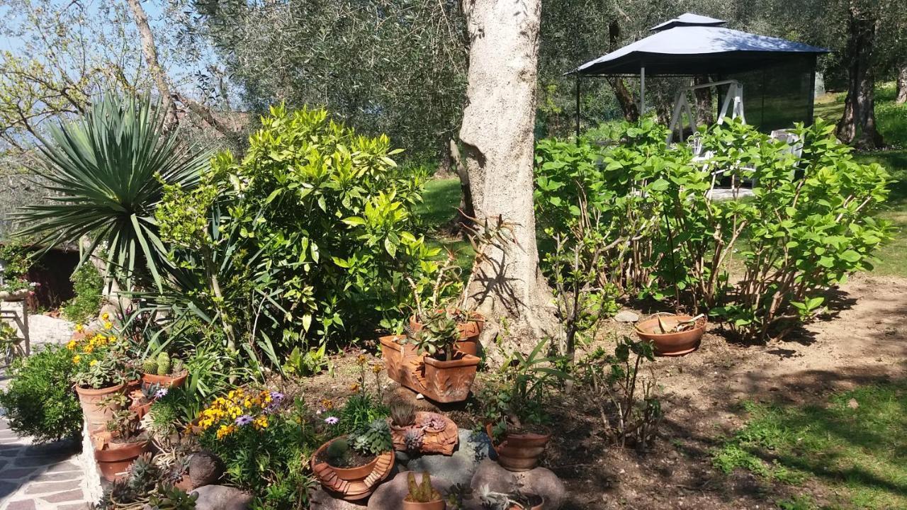 דירות ברנצונה סול גארדה Casa Valenti מראה חיצוני תמונה